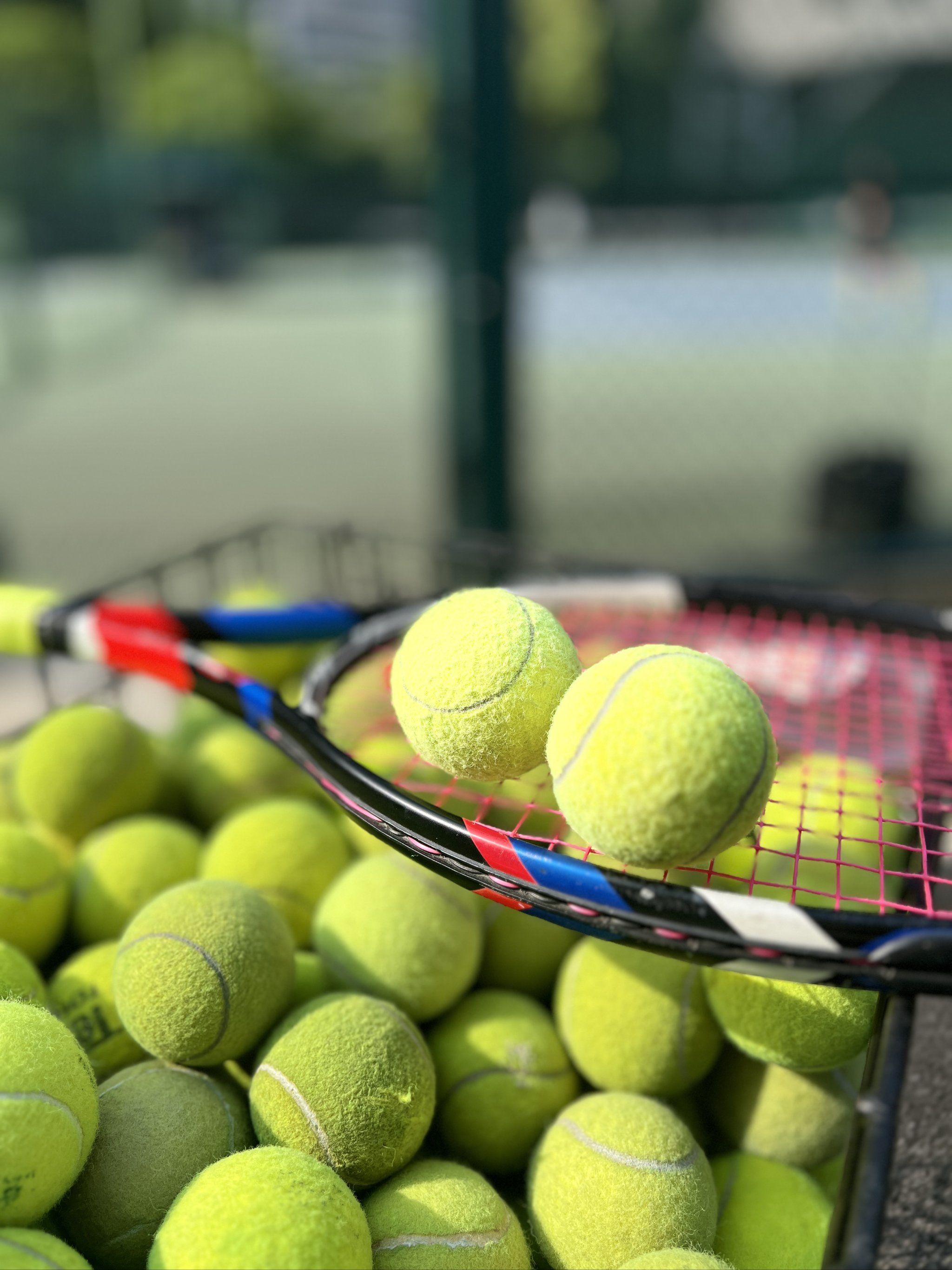 不断攀升 不断攀升